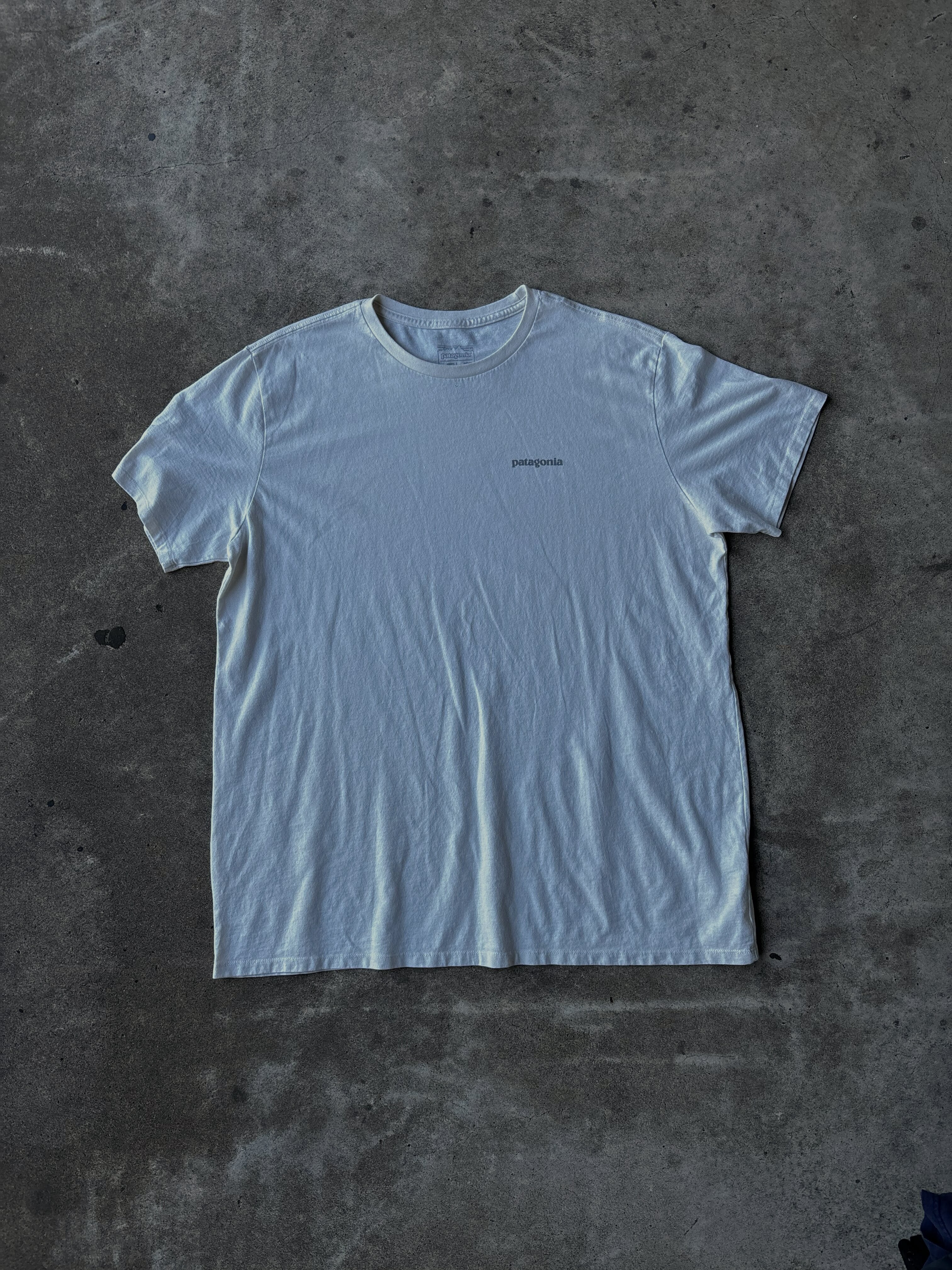 Patagonia Tee